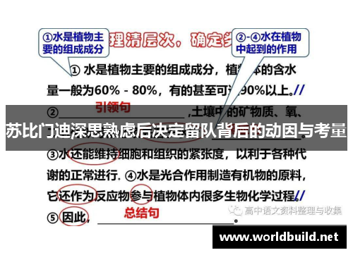 苏比门迪深思熟虑后决定留队背后的动因与考量