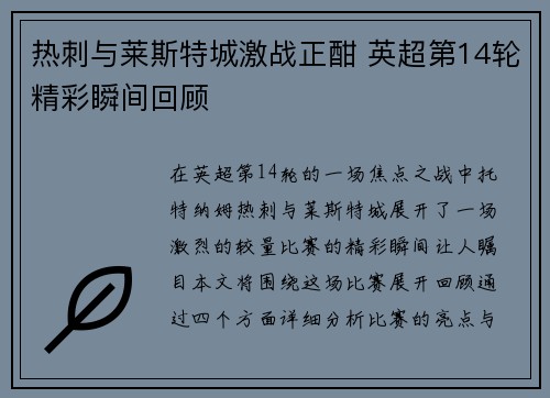 热刺与莱斯特城激战正酣 英超第14轮精彩瞬间回顾
